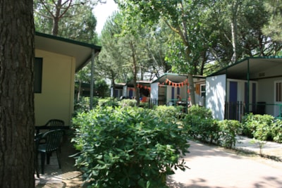 Chalet Basic — 2