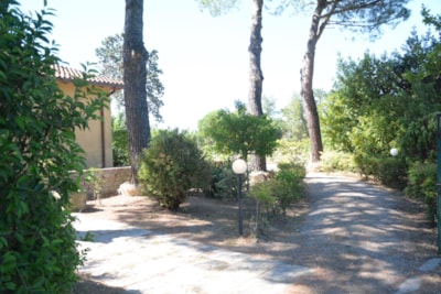 House Badiaccia — 3
