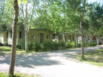 Mietunterkunft - Mobilheim Formula Hotel 2 - CAMPING VILLAGE BADIACCIA