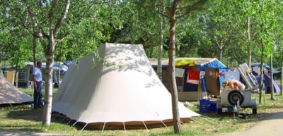 Gold Pitch  (Tent, Caravan, Camper) — 5