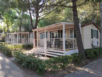 Mietunterkunft - Mobilheim Large - CAMPING VILLAGE BADIACCIA