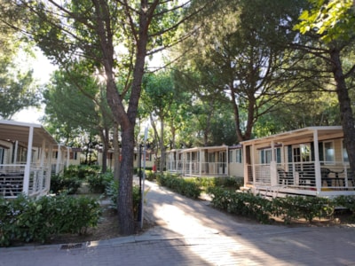 Mobile-home Large — 6