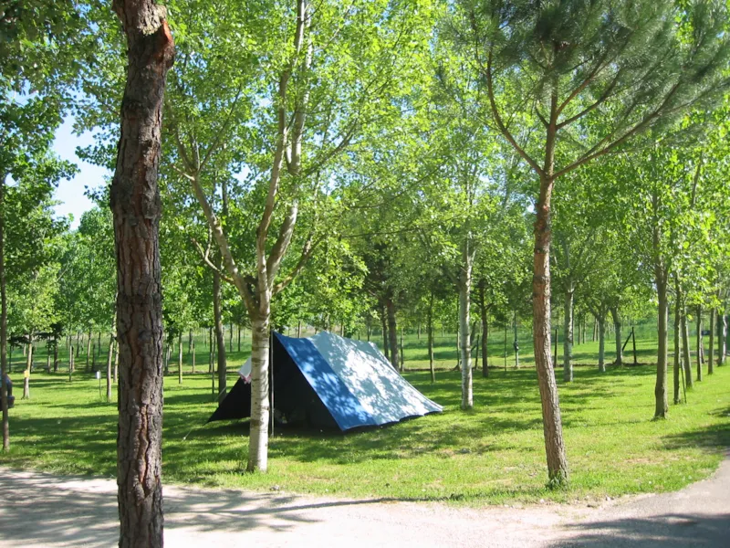 Emplacement Standard (Seulement Pour Petite Tente)