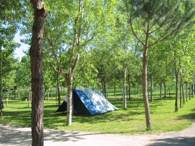 Standard Pitch (small tent only) — 2