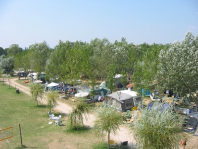 Gold Pitch  (Tent, Caravan, Camper) — 2