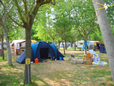 Gold Pitch  (Tent, Caravan, Camper) — 8