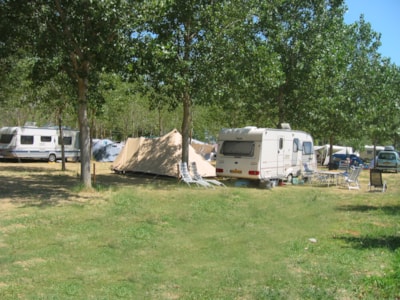 Gold Pitch  (Tent, Caravan, Camper) — 10