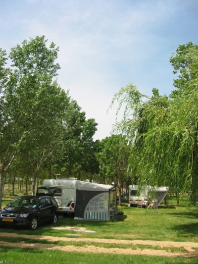 Gold Pitch  (Tent, Caravan, Camper) — 3
