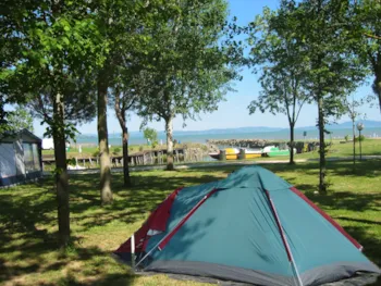 Stellplatz - Standard Stellplatz  (Nur Kleine Zelt) - CAMPING VILLAGE BADIACCIA