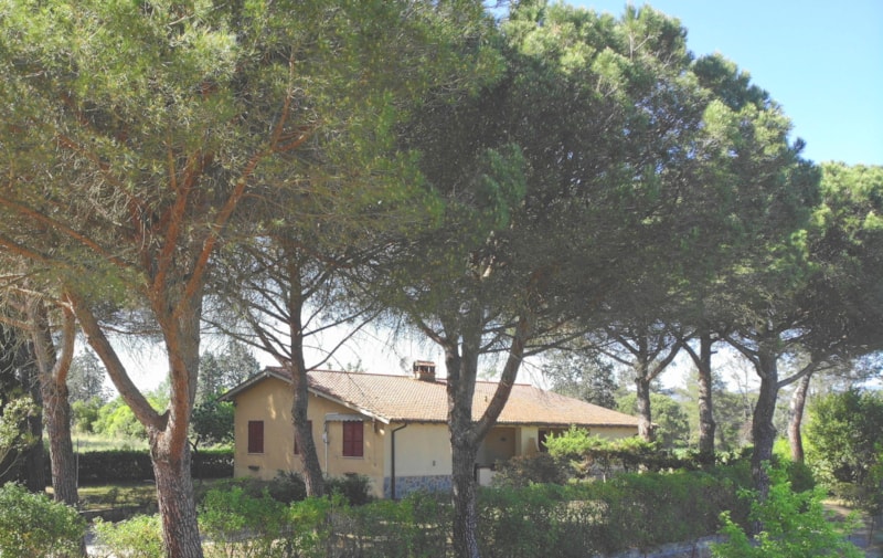 Badiaccia Camping Village Trasimeno photo 4