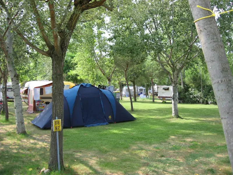 Emplacement Gold (Tente, Caravane Ou Camping-Car)