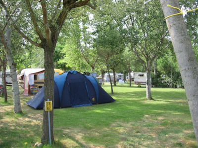 Gold Pitch  (Tent, Caravan, Camper)