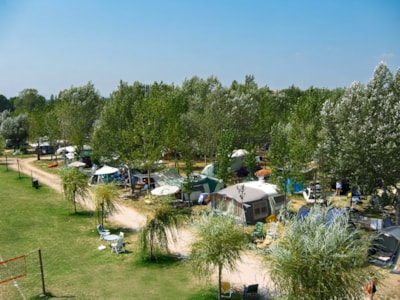 Gold Pitch  (Tent, Caravan, Camper)