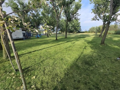Gold Pitch  (Tent, Caravan, Camper)