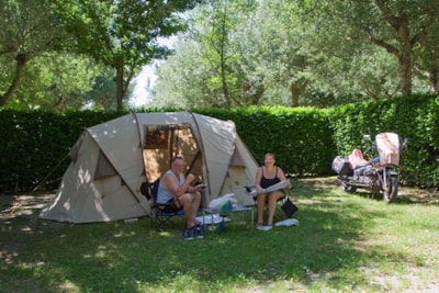 Pitch Caravan/Tent — 3