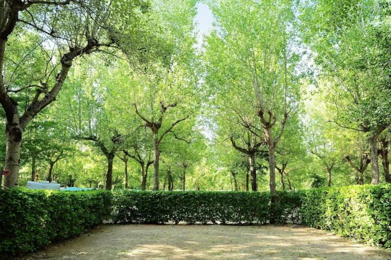 Emplacement Caravane/Tente