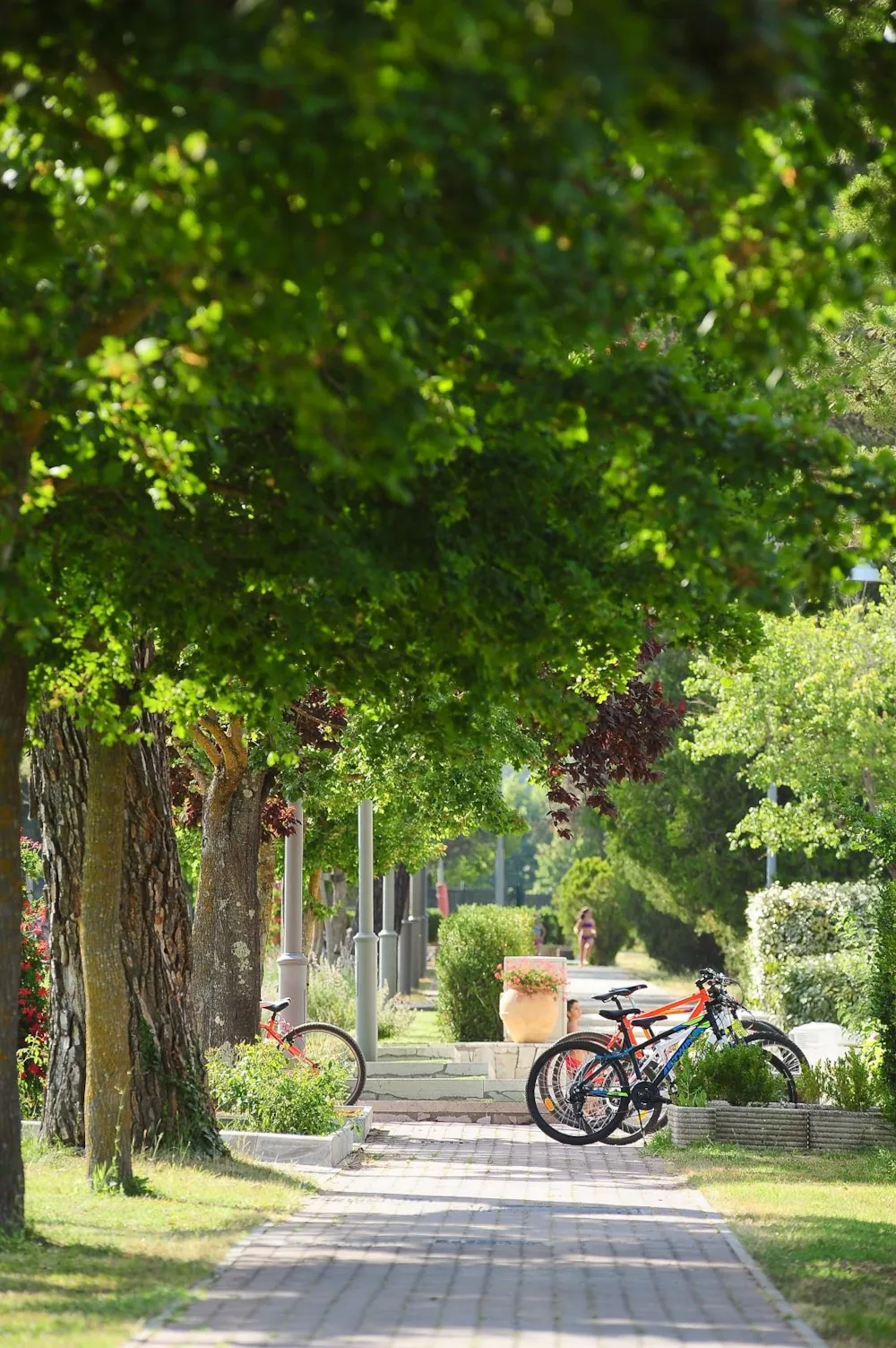 PARCO DELLE PISCINE