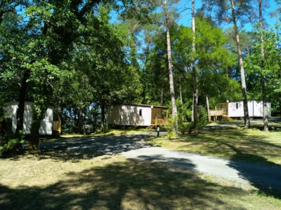 Mobile home comfort + 2 bedrooms