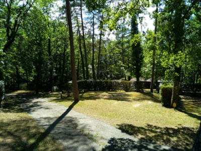 Camping pitch , including 2 persons, average area 100 square metres