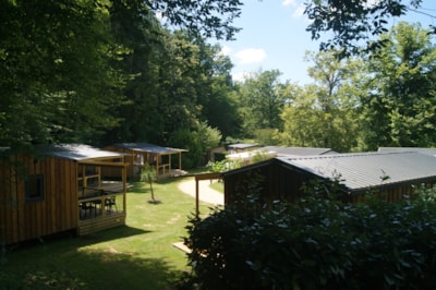 the cabin spirit