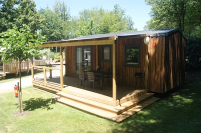 the cabin spirit