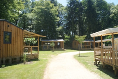 the cabin spirit