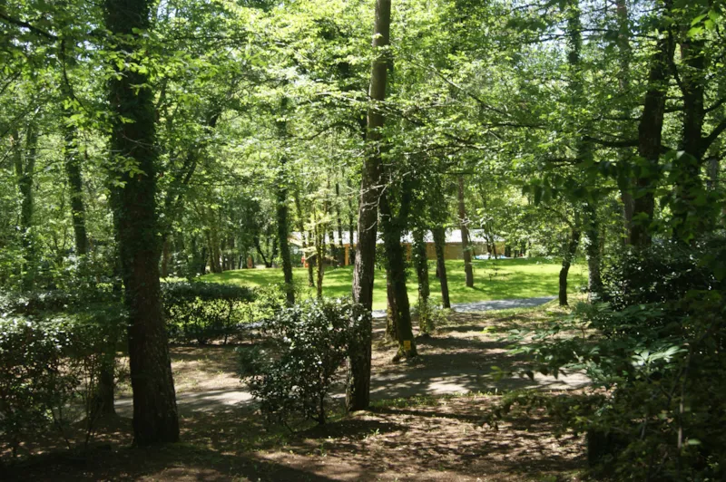 Emplacement De Camping , 2 Personnes Comprises, Superficie Moyenne 100M²