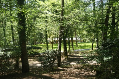 Camping pitch , including 2 persons, average area 100 square metres