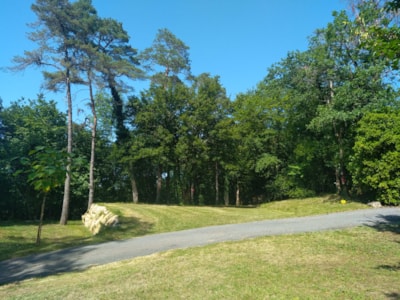 Camping pitch , including 2 persons, average area 100 square metres