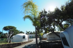 Accommodation - Bungalow/ Igloo 25 Mq (2-Room With Bathroom And Without Kitchen) - Camping  & Village Rais Gerbi