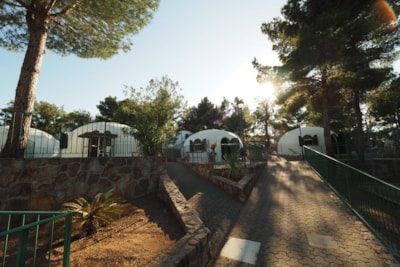 Bungalow/ Igloo 25 mq (2-room with bathroom and without kitchen) — 2