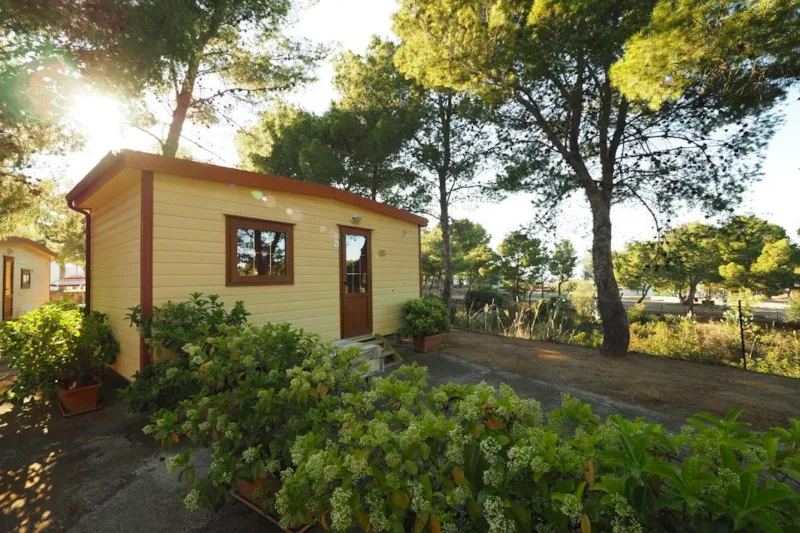 Mobil-Home Avec Climatisation