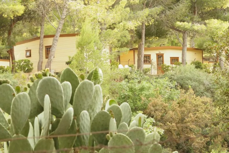 Mobil-Home Avec Climatisation