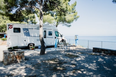 Standard Camper Pitch — 8