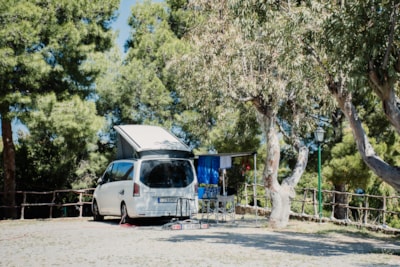 Standard Camper Pitch — 10