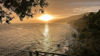 Pitch Medium Tent — 1