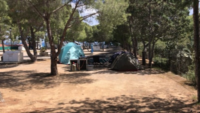 Pitch Medium Tent — 7