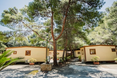 2 BEDROOM MOBILE HOME — 3