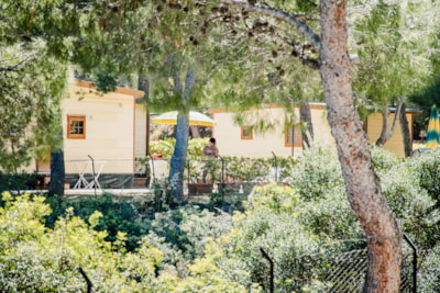 Mobile-home SMALL — 9