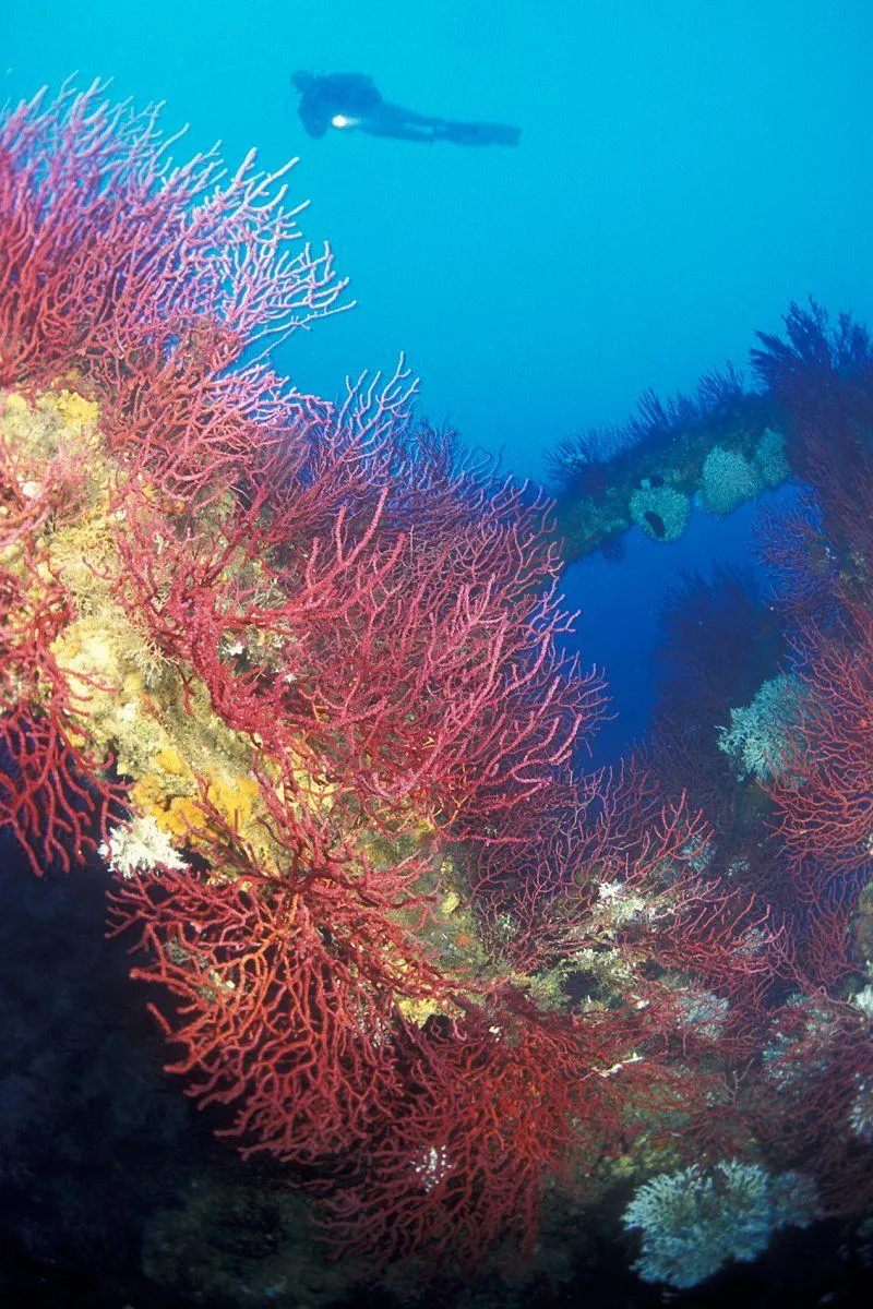 Capfun - Camping Caravaning La Manga