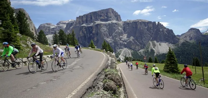 Camping Vidor Family & Wellness Resort