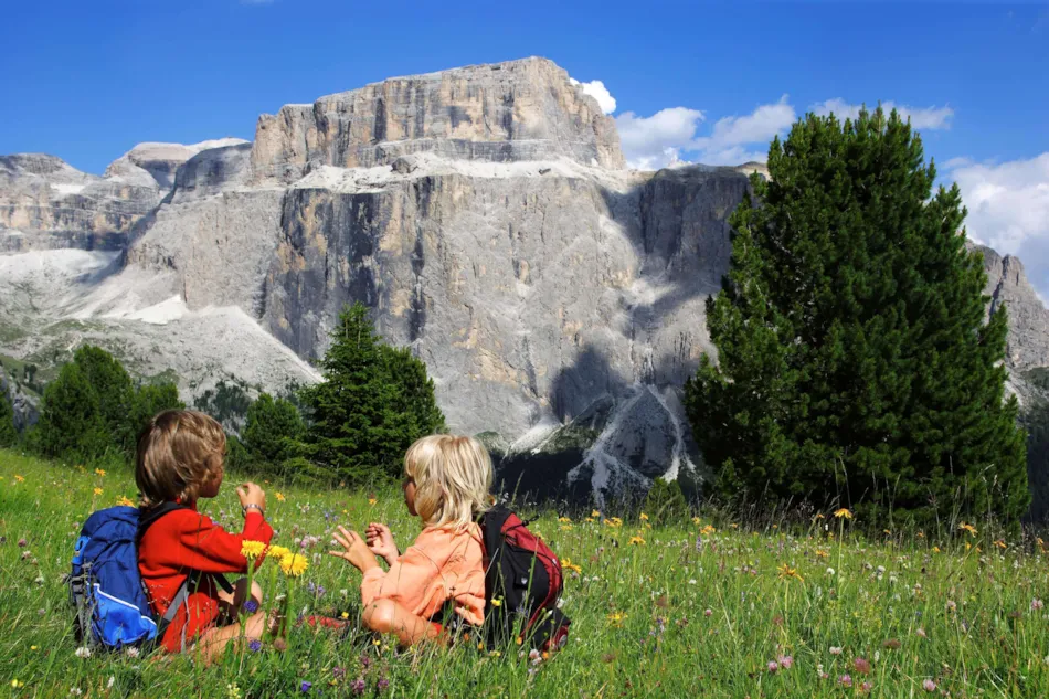 Camping Vidor Family & Wellness Resort