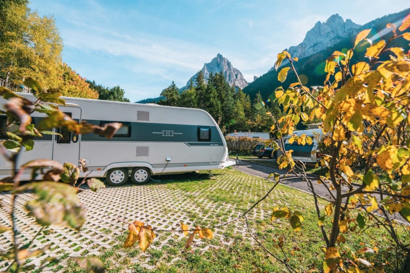 Sind Hunde auf dem Campingplatz Family & Wellness Vidor Resort erlaubt? photo 3