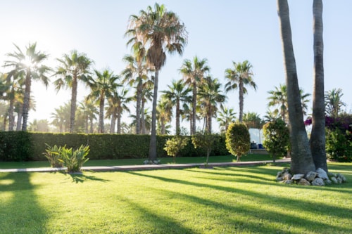 Foto #1 van Camping Resort Almanat Naturista FKK