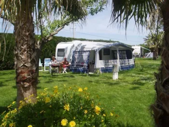 Stellplatz - Stellplatz (1 Auto, Zelt Oder Caravan-Wohnmobil) - CAMPING LAS PALMERAS