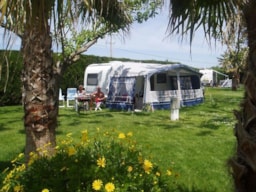 Pitch - Pitch (1 Car, Tent Or Caravan-Motorhome) - CAMPING LAS PALMERAS