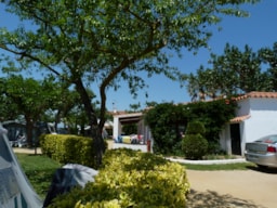 Accommodation - Studio Per Night - CAMPING LAS PALMERAS