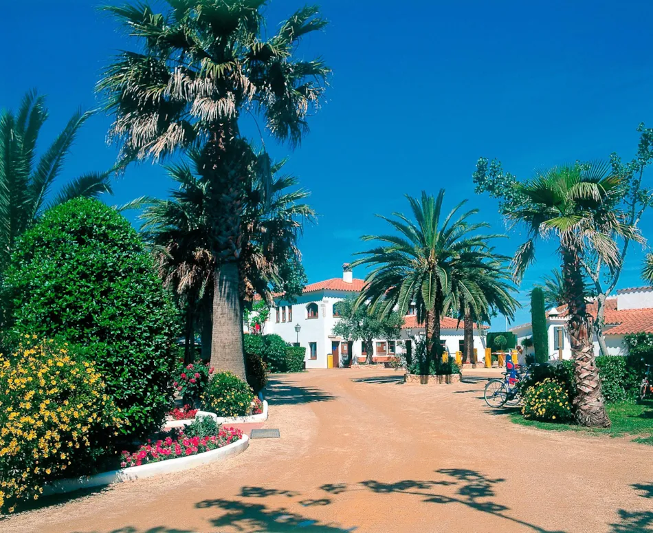 CAMPING LAS PALMERAS