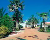 Foto #8 van Camping Las Palmeras