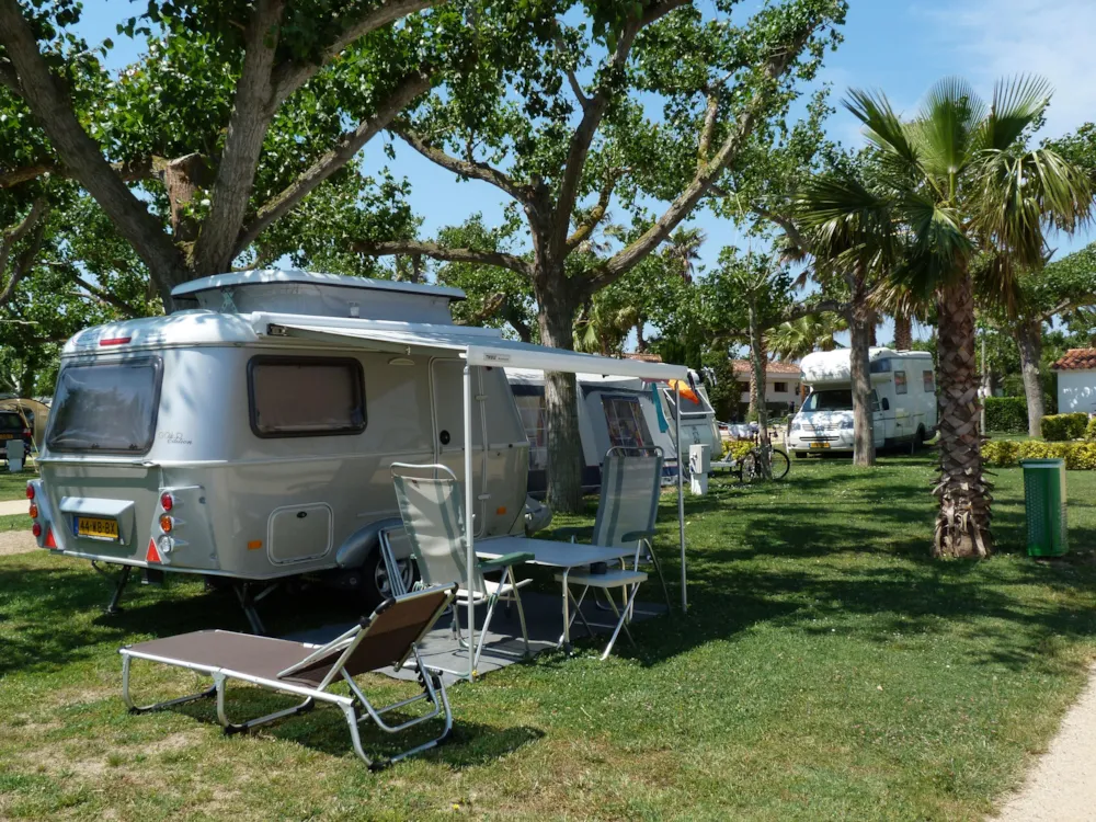 CAMPING LAS PALMERAS